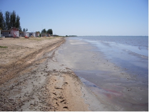 Выход илов на поверхность в Белосарайском заливе вблизи п. Ялта (Украина)