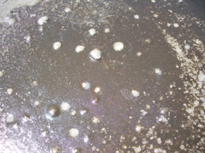 При этом на поверхности илов часто наблюдаются следы застывших пузырьков газа.