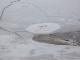 Выделение газа зимой подо льдом в Таганрогском заливе.
