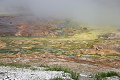 Пятно цветных термофильных архебактерий (Национальный парк Йеллоустоун, США)
